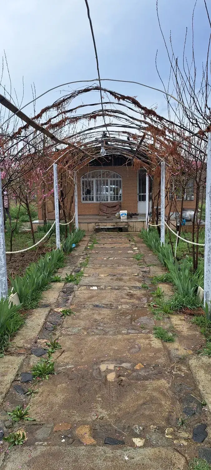 باغ حیدره
