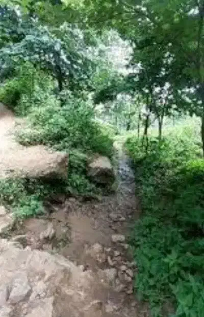 ۲۸۰۰ متر زمین باغی