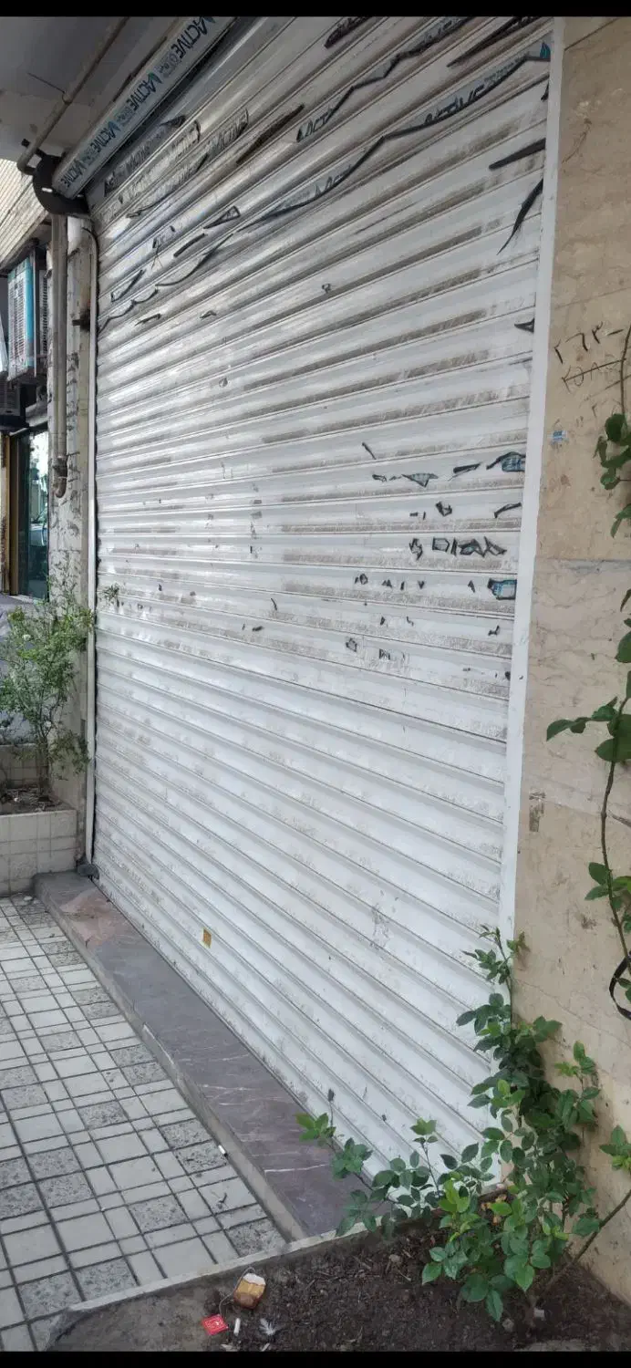 مغازه