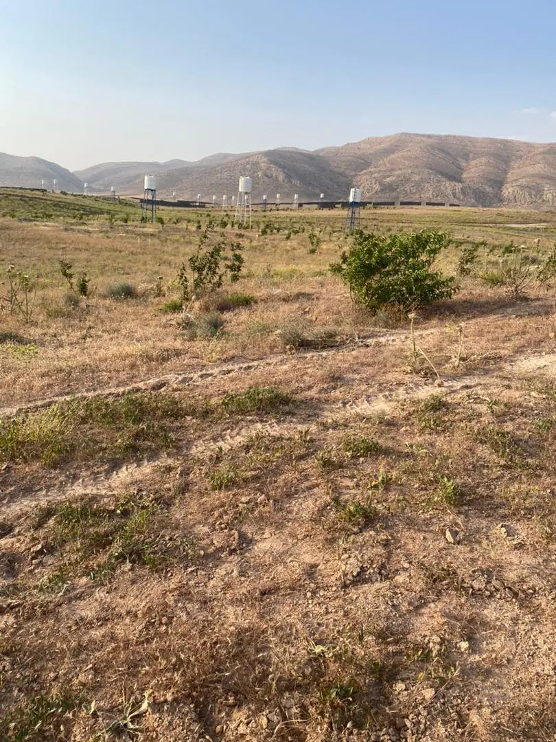 زمین باغی
