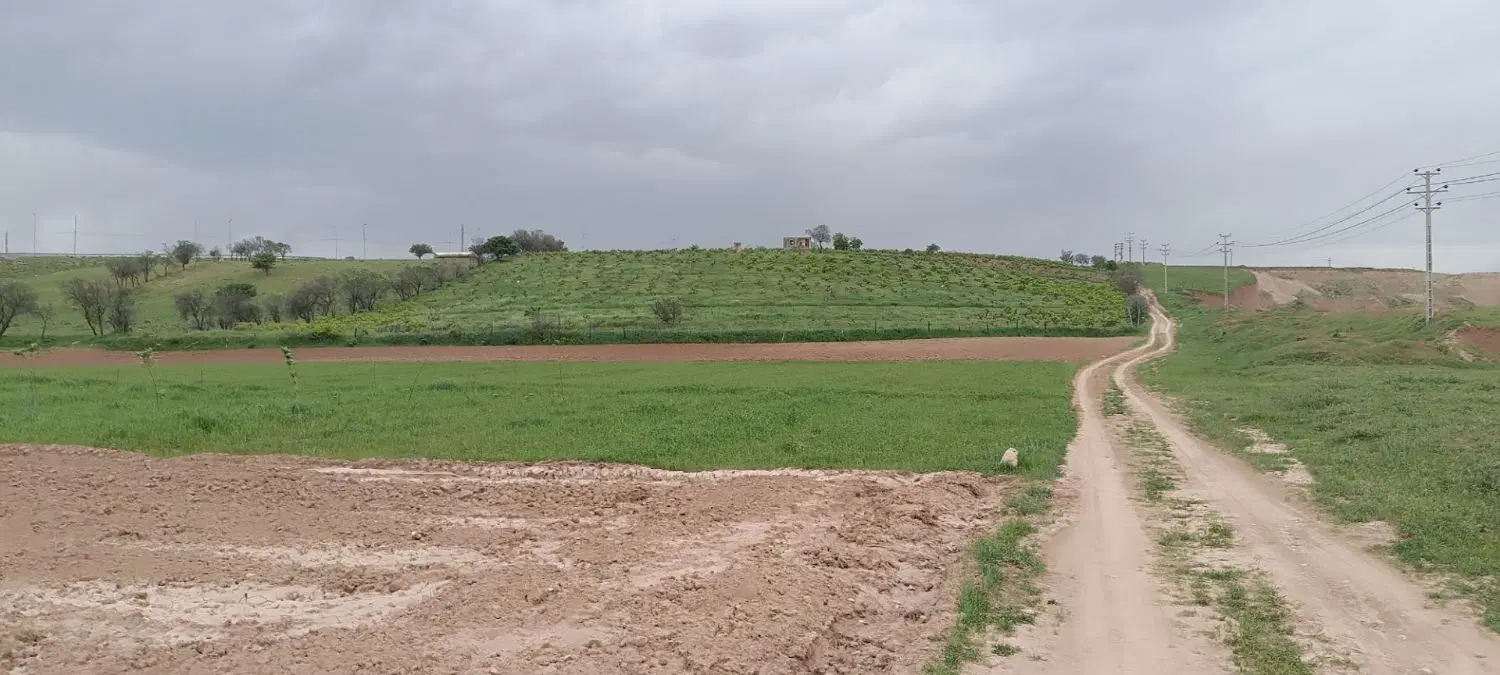 زمین سند شش دانگ