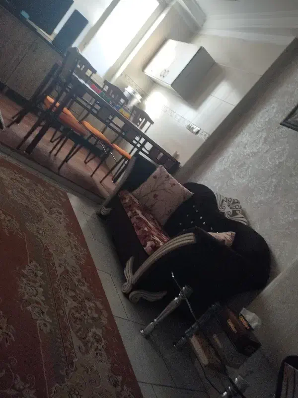 هم خانه خانم
