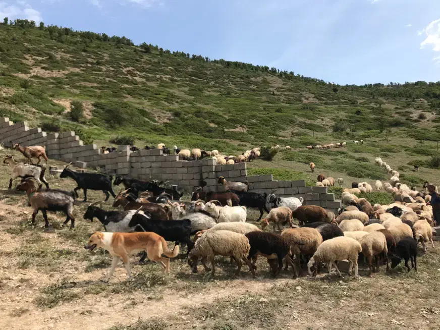 زمین داخل بافت کدیر