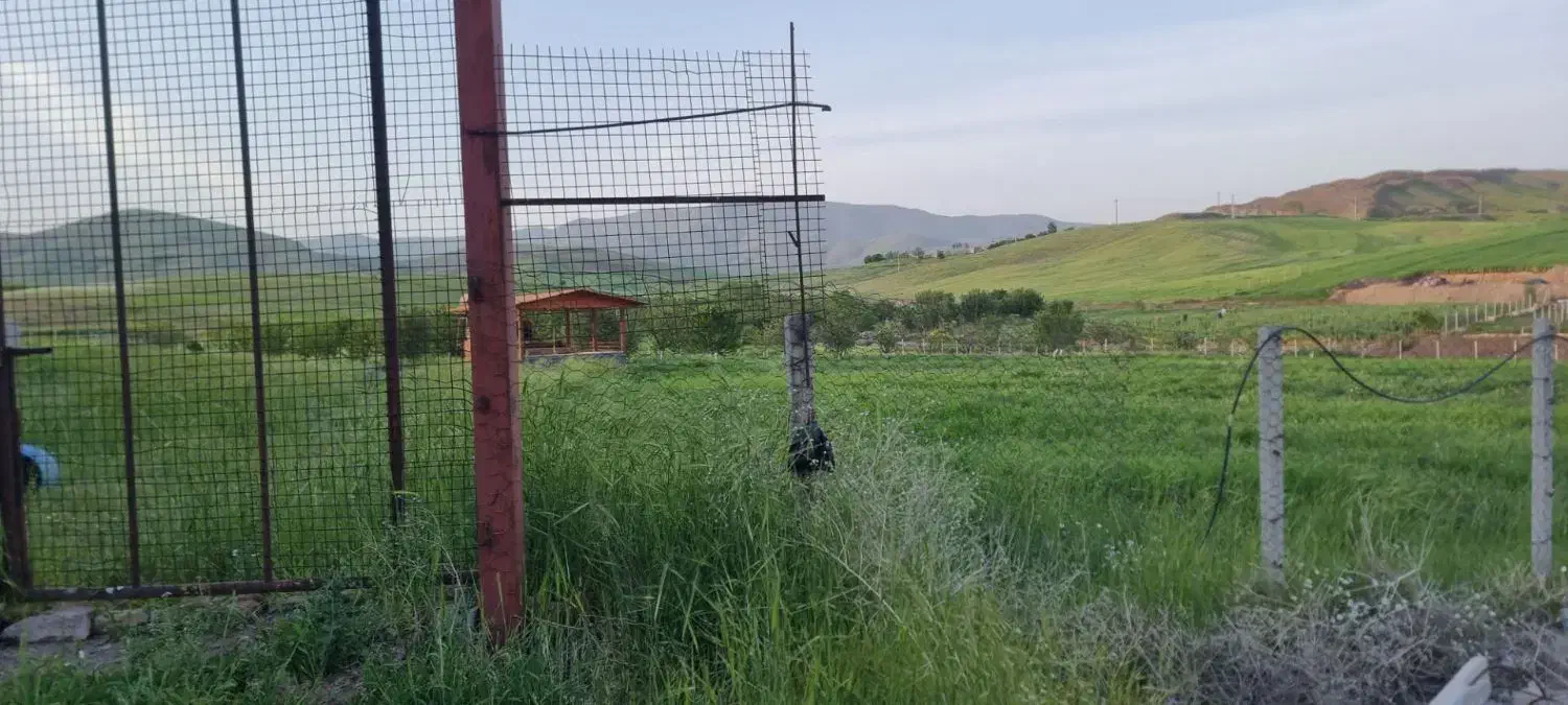 زمین کشاورزی