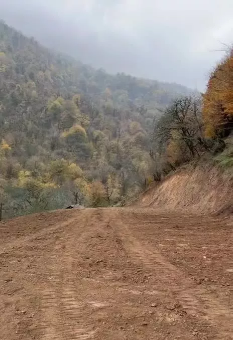 زمین باغی