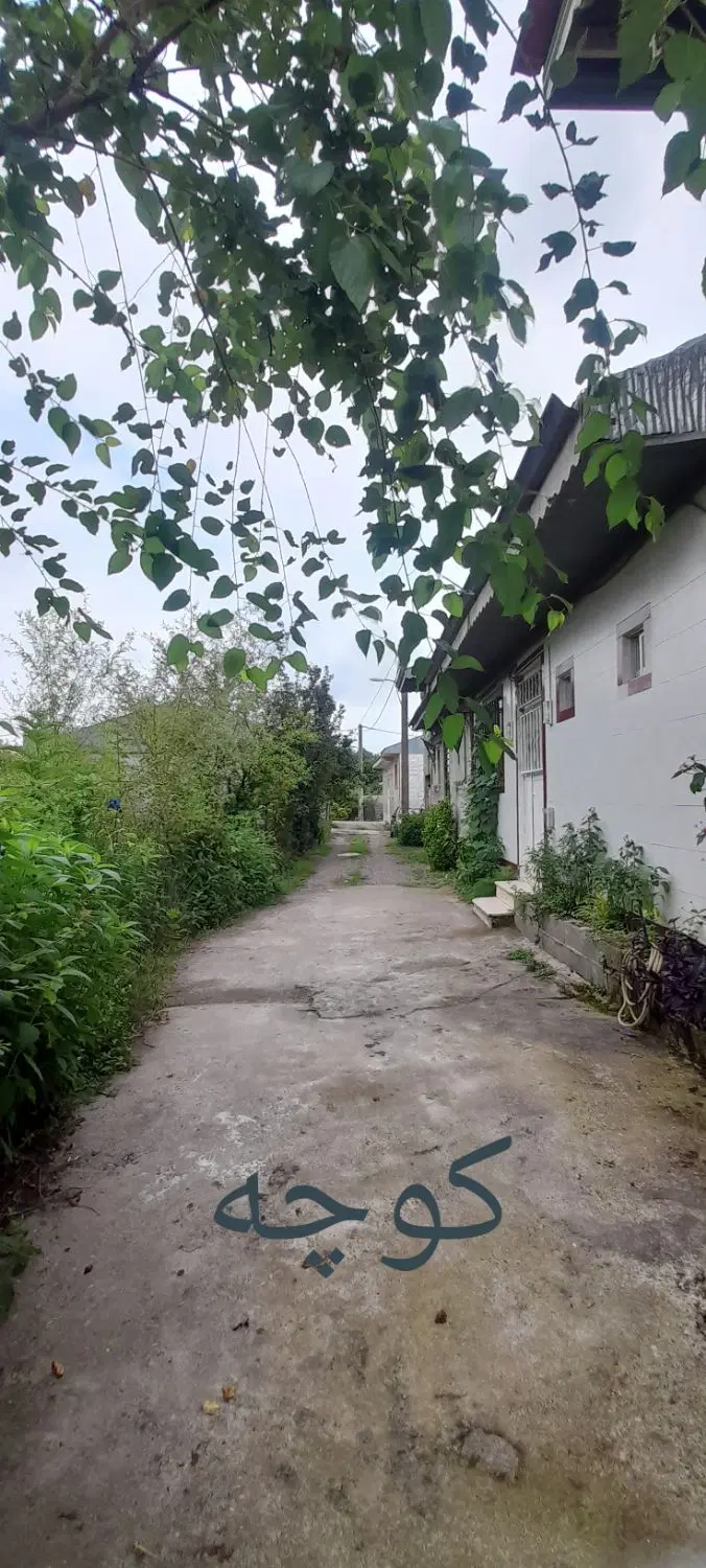 ۲۳۳متر زمین در پیربازار