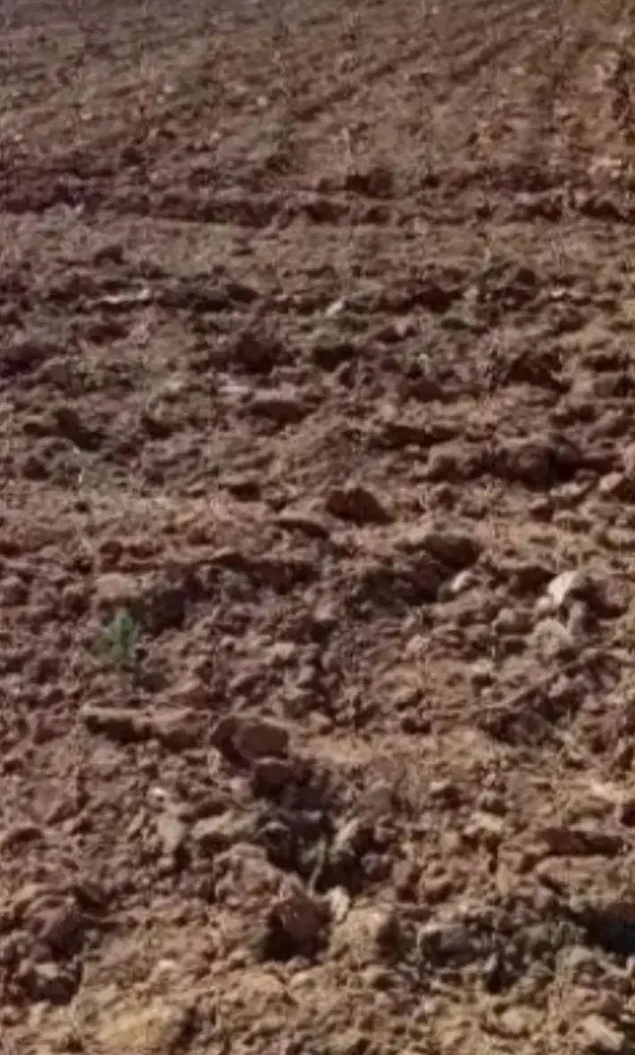 یک قطعه زمین بهر جاده همدان بیجار