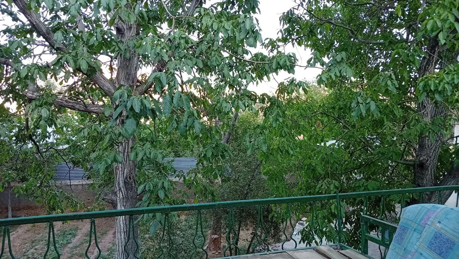 ملک فروشی در جاسب روستای کروگان