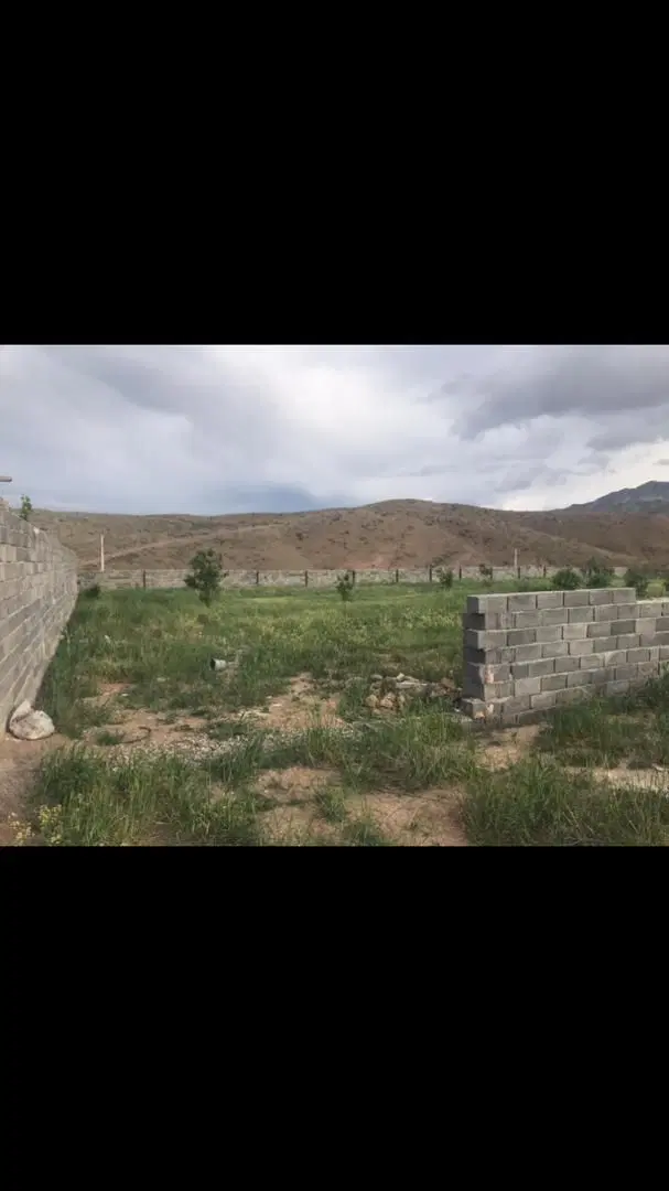 باغچه نو چهار دیواری