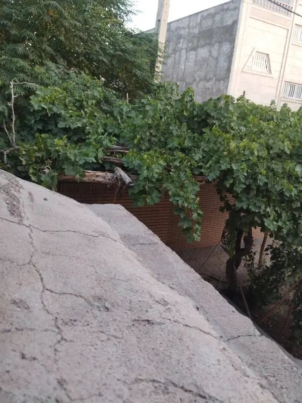 زمین کشاورزی 4حبه.5ساعت آب هفتگی