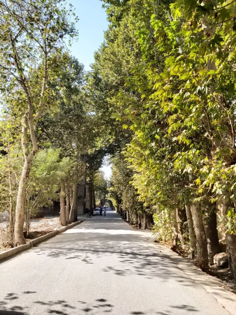 زمین ۶۰۰ متری کهنز
