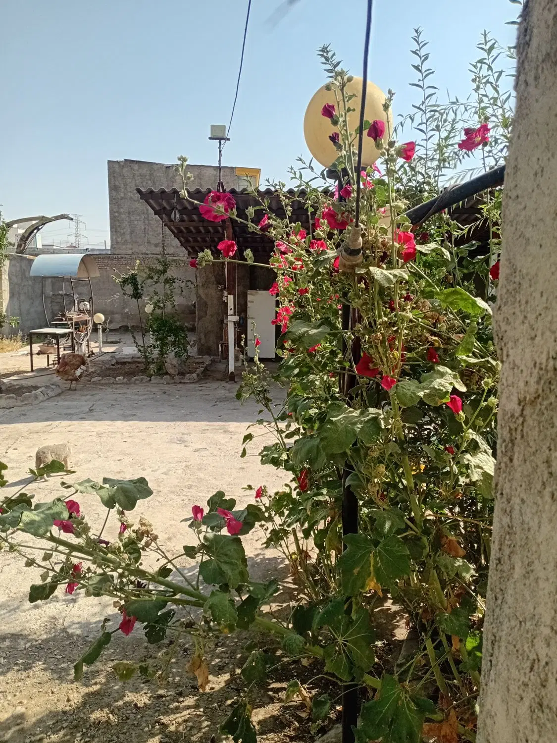 خونه باغ(داخل بافت)