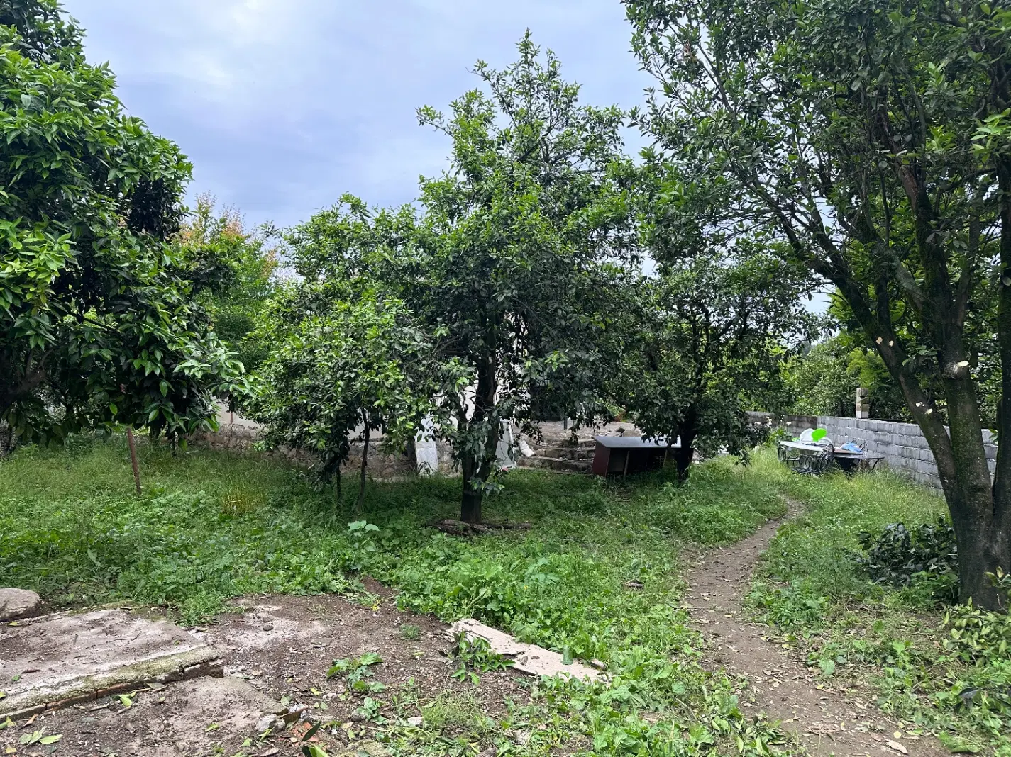 باغ ویلا ۶۵۰ متری