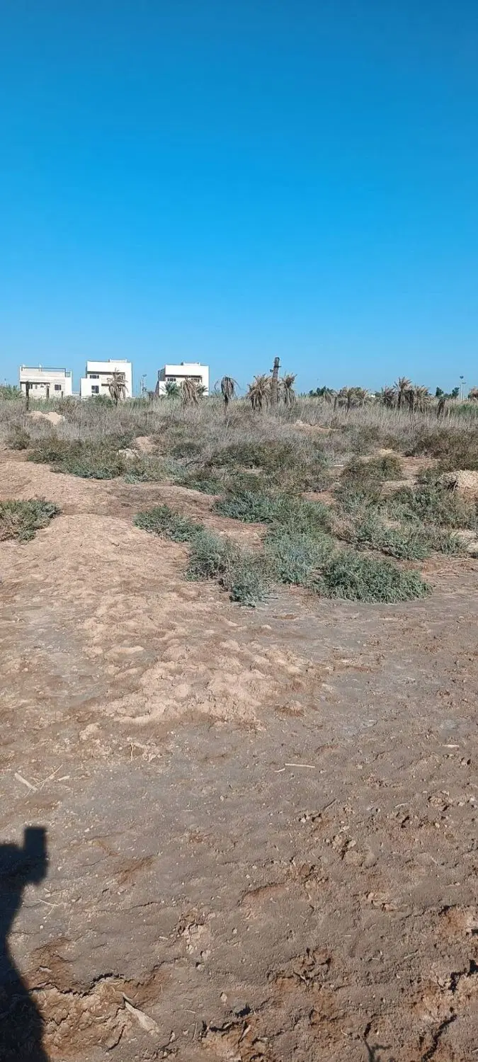 زمین در جزیره مینو