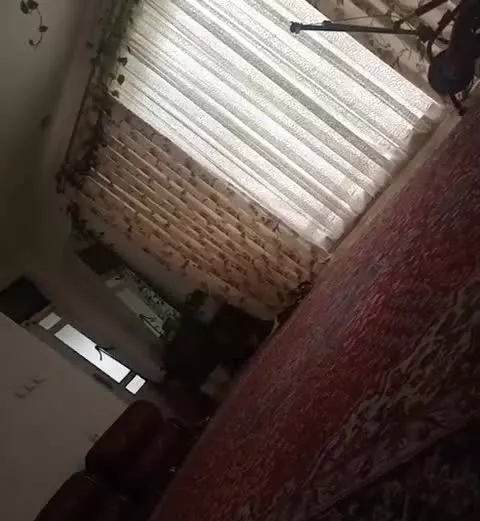 اجاره دادن خونه