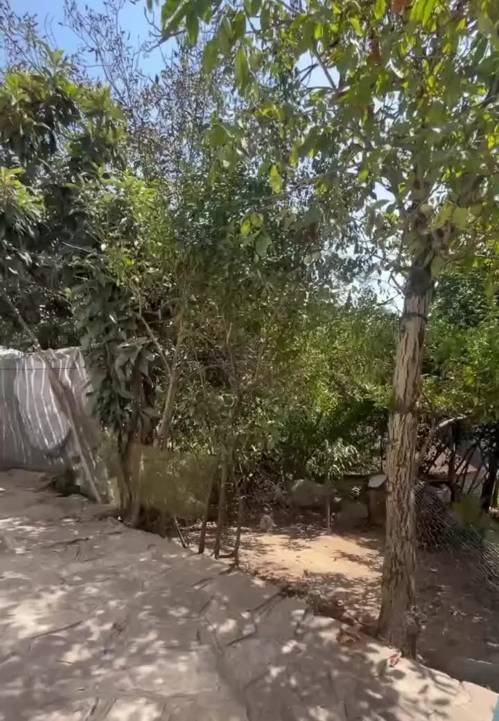فروش خانه