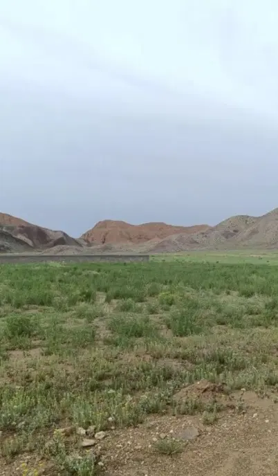 امتیازنوین کوثر