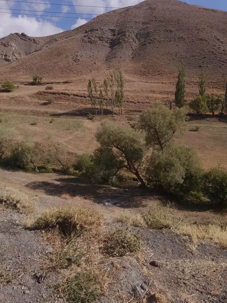 زمین فوری