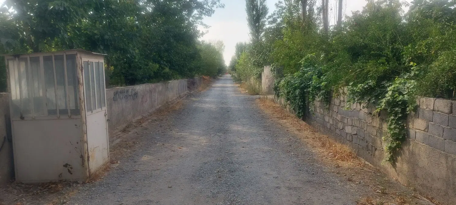 باغچه ۵۰۰ متری پر درخت