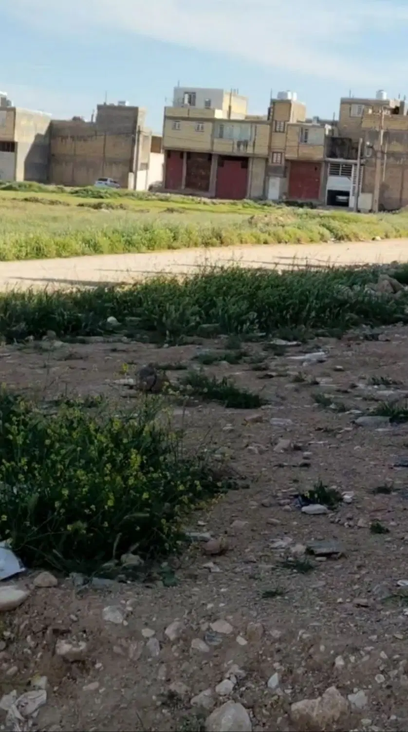 زمین گردخون