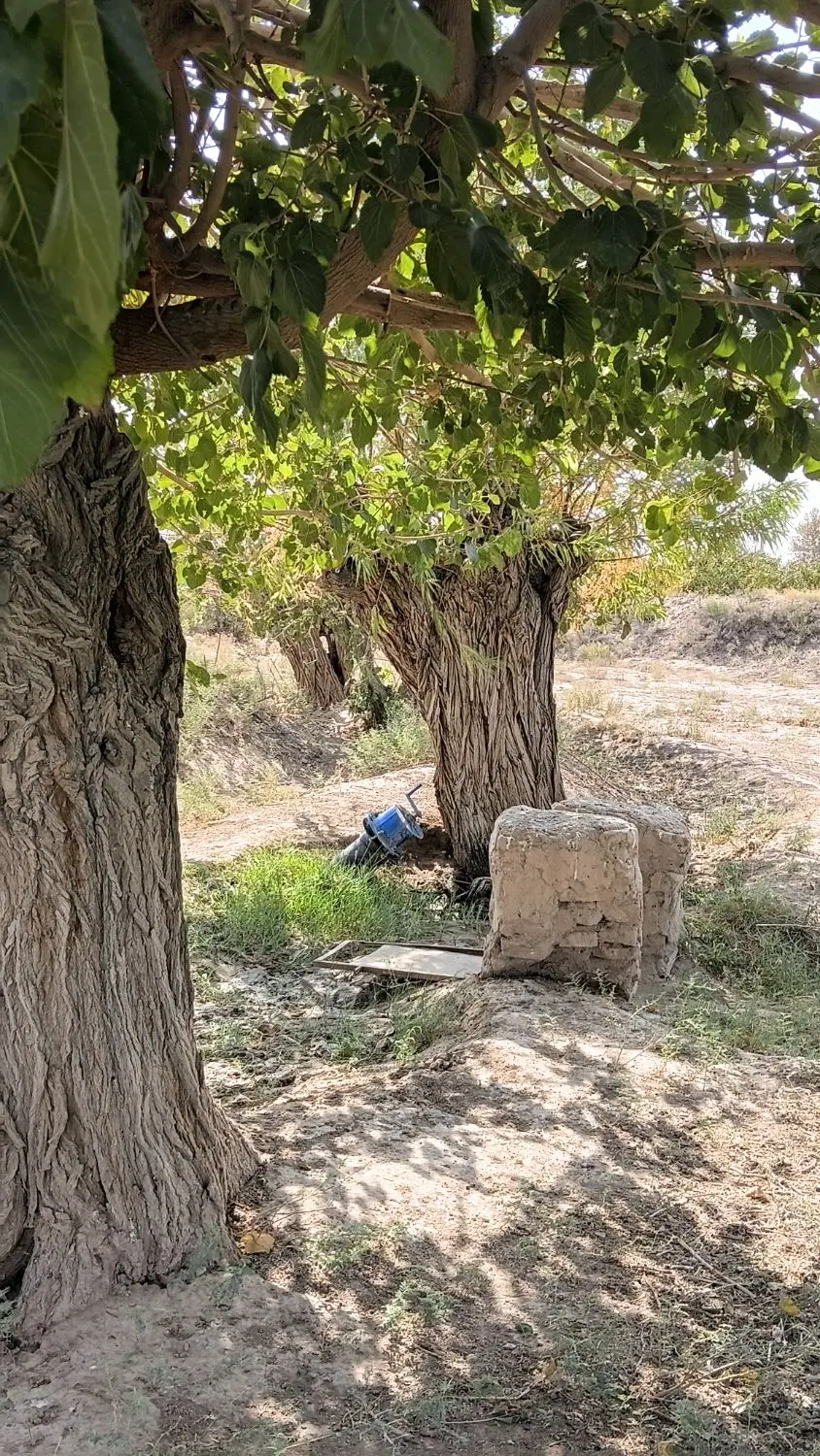 زمین فروشی