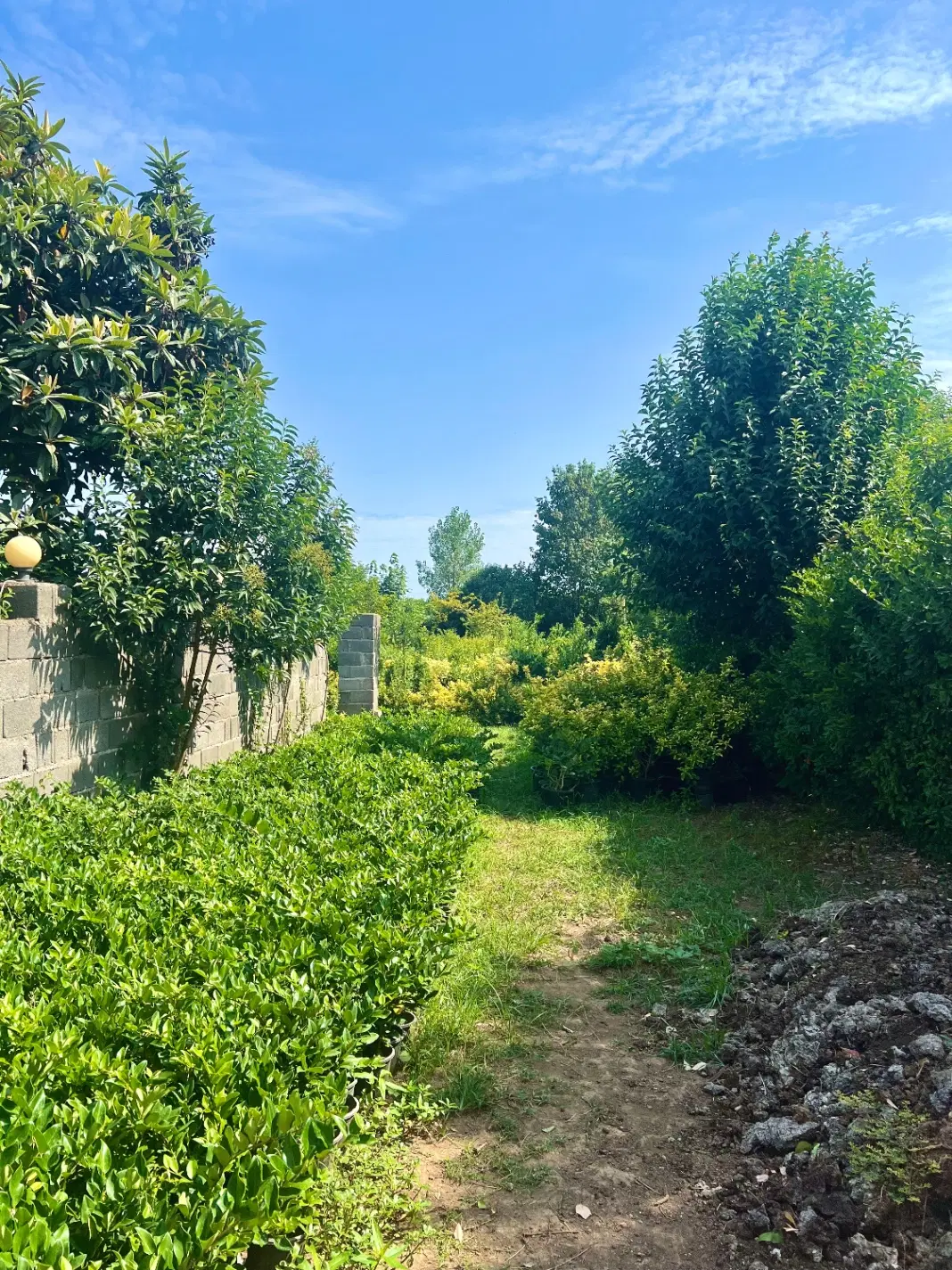 فروش زمین در چابکسر