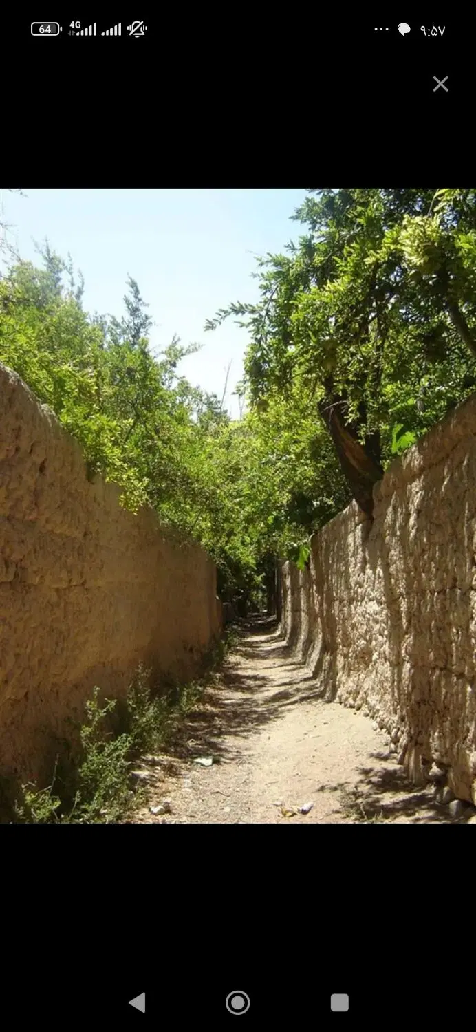 فروش باغ نقلی