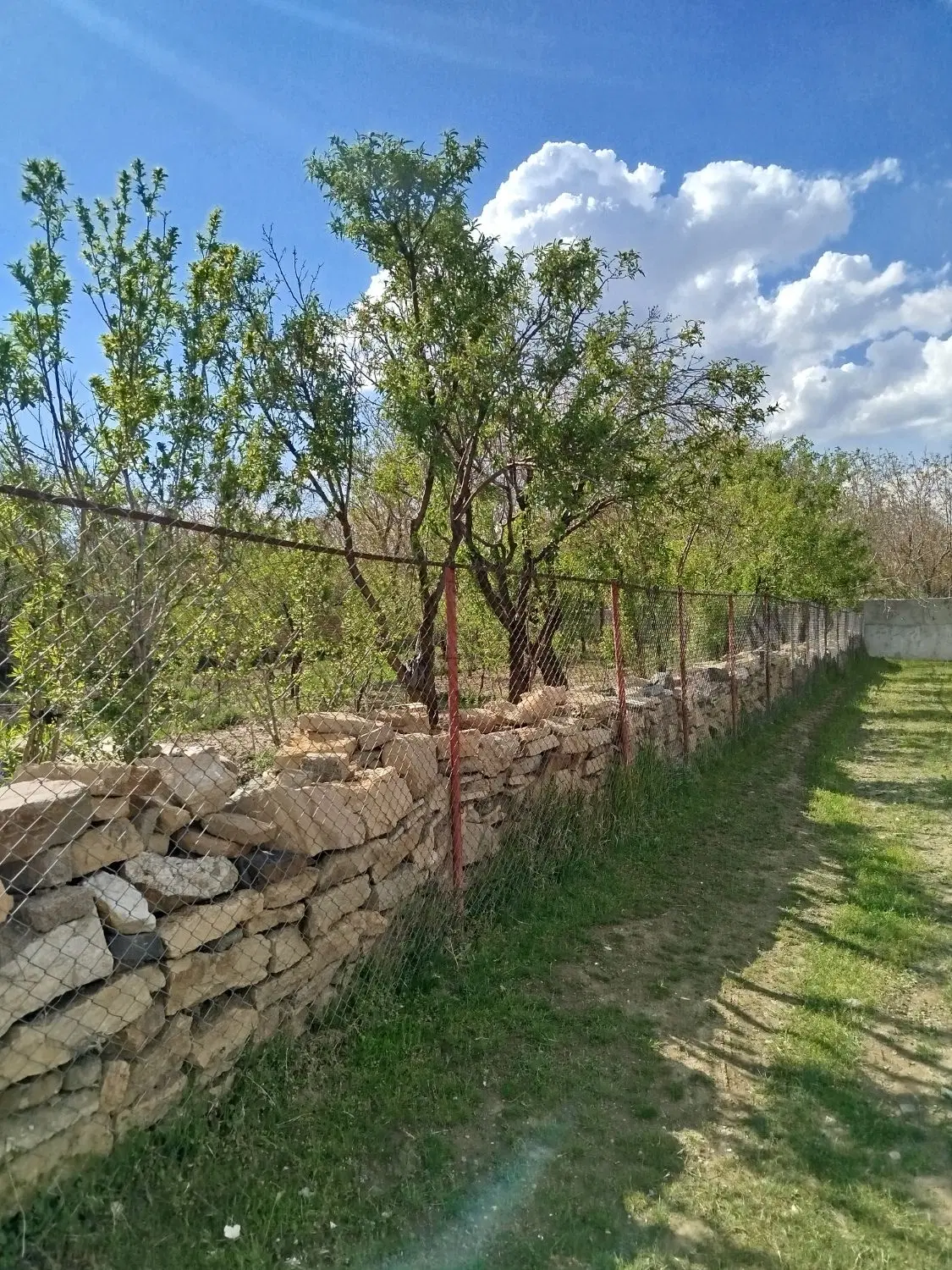 یه قعطه زمین به فروش میرسد در اول جاده چشین