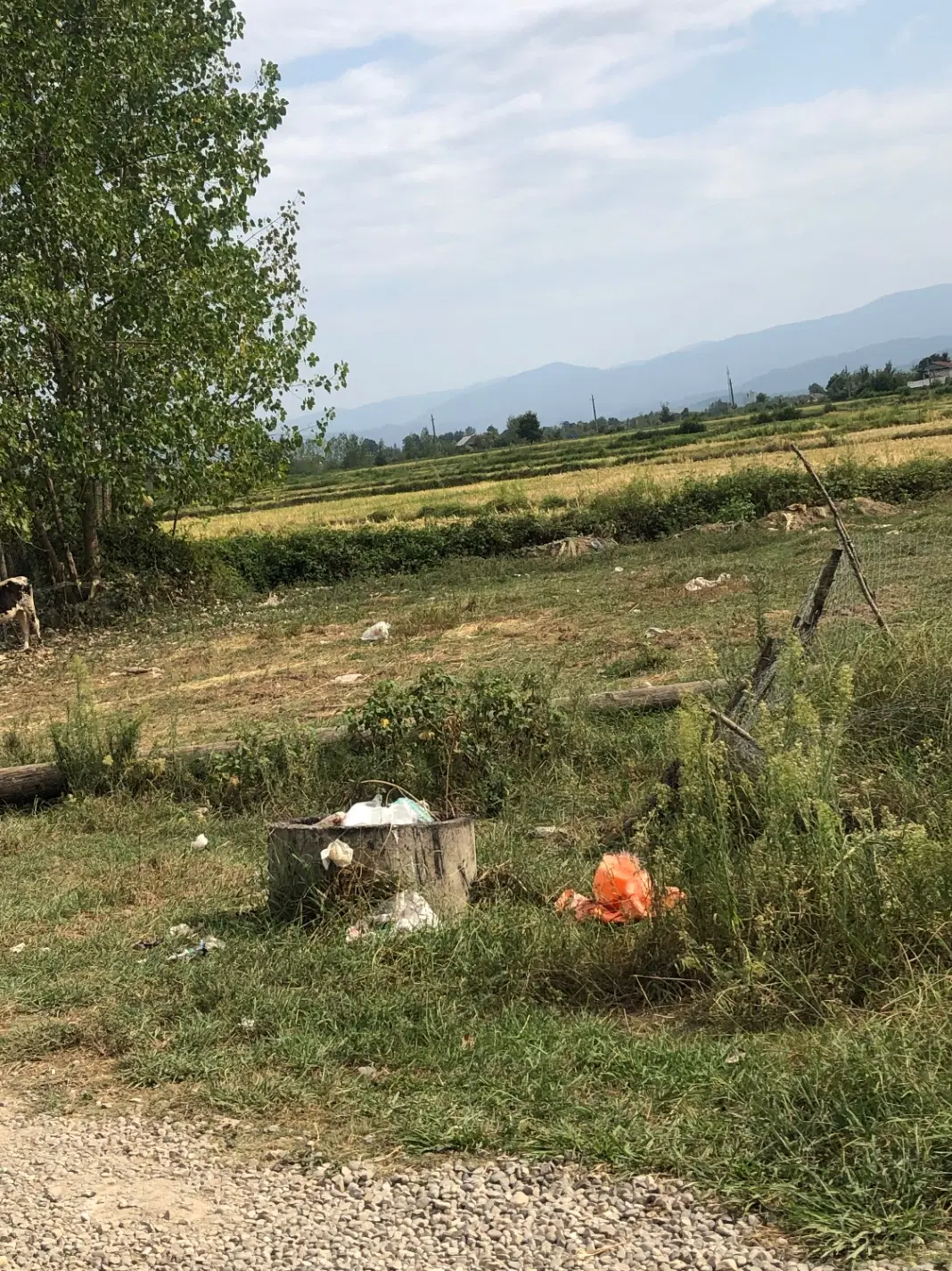 زمین مسکونی به متراژ ۵۰۰ متر شمال