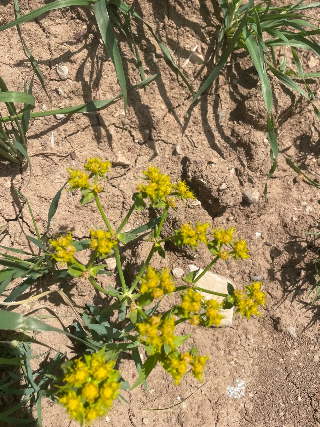 بهترین زمین برای سرمایه گذاری