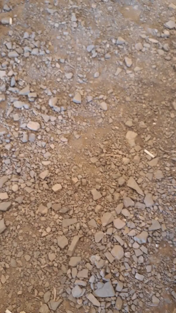 زمین مسکونی