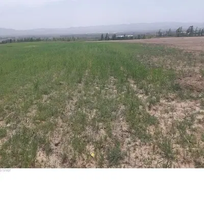 اجاره زمین کشاورزی