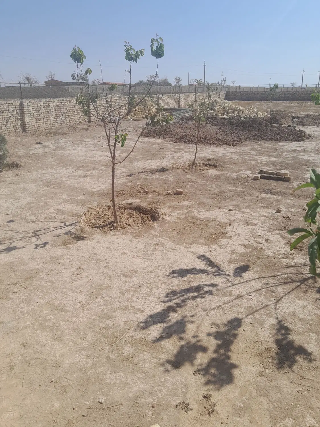 ّباغ ۳۰۰ متری نیمه ساز قیمت مناسب فروش فوری