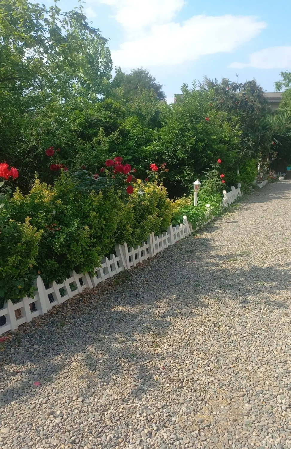 زمین مسکونی شهری ابتدای کمربندی آماده ساخت.
