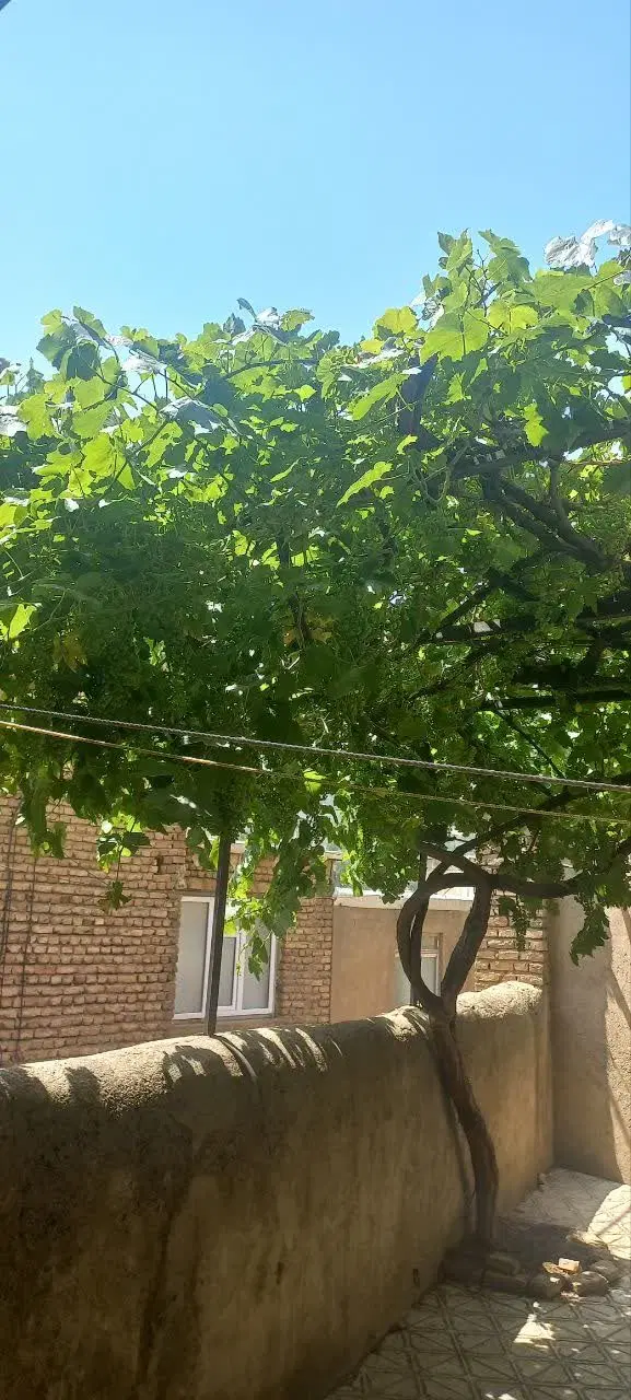ویلایی سه نبش