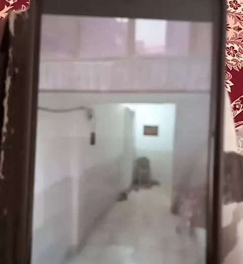 خانه