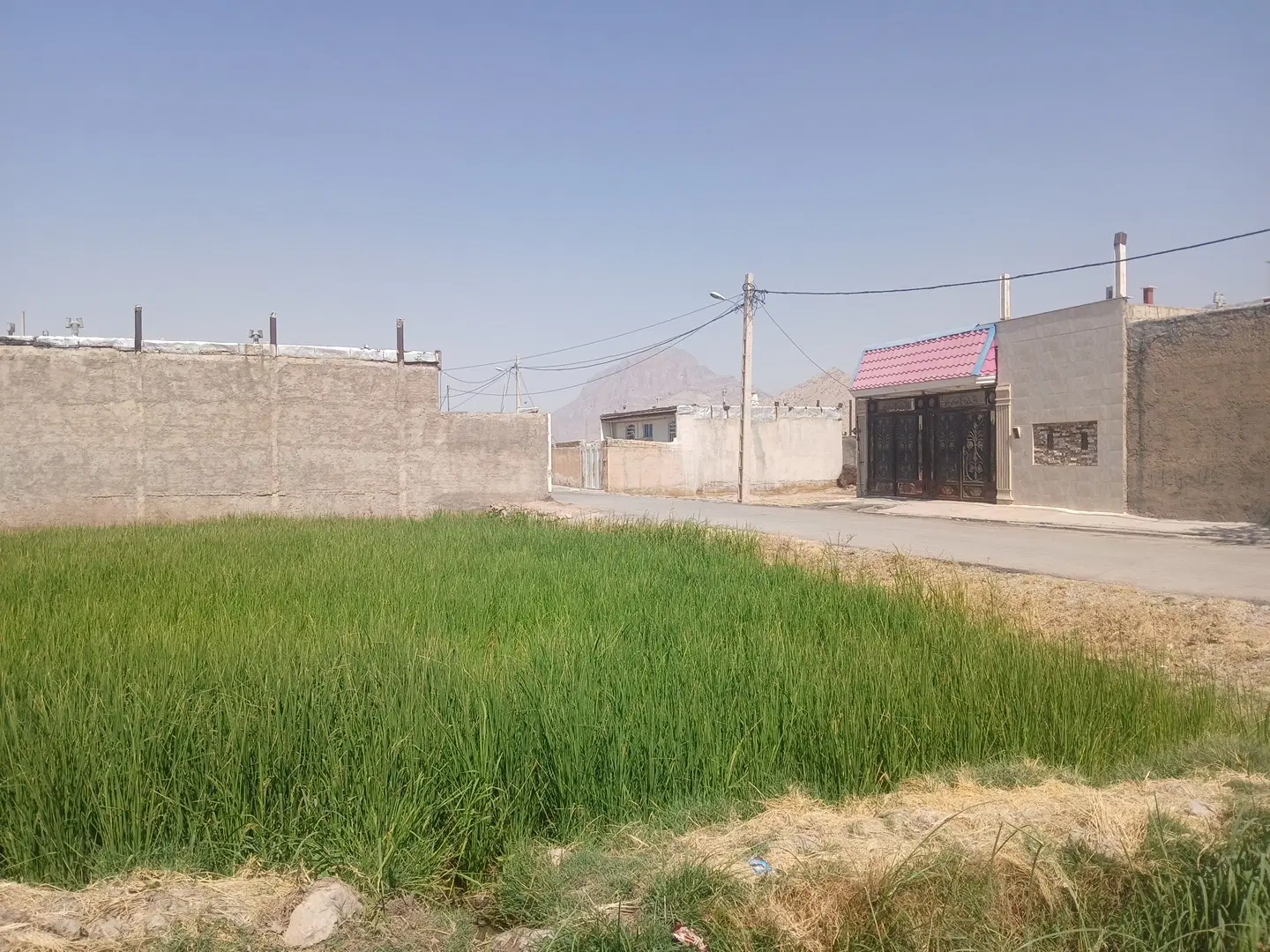 زمین ماسور نسرین ۷