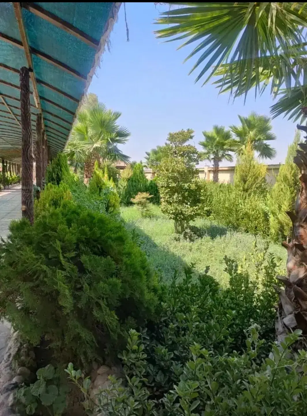 چهار دیواری 501 متری