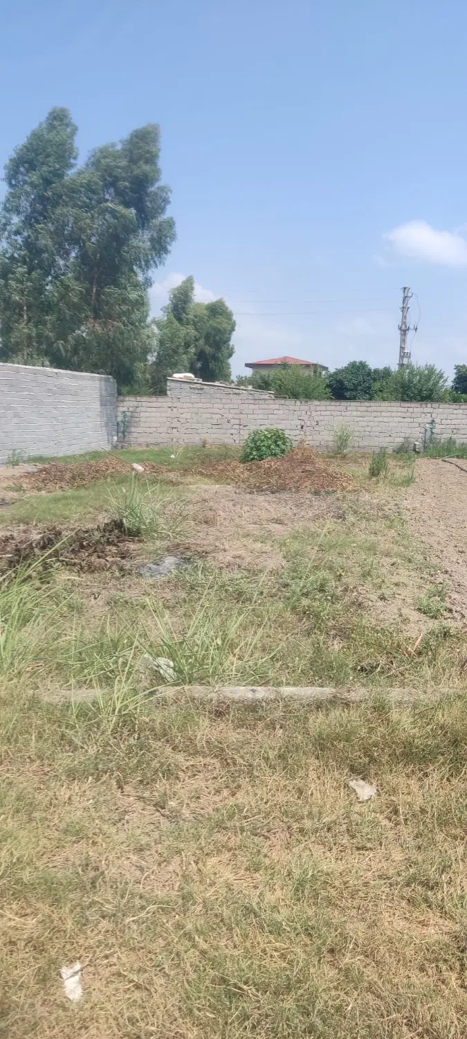 252مترزمین کوچه سوگولی جاده دریا موقعیت مکانی تاپ