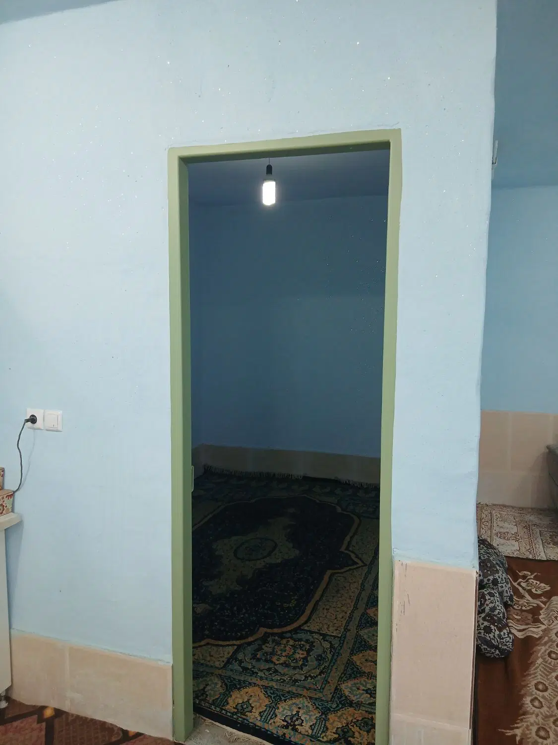 باغ نقلی