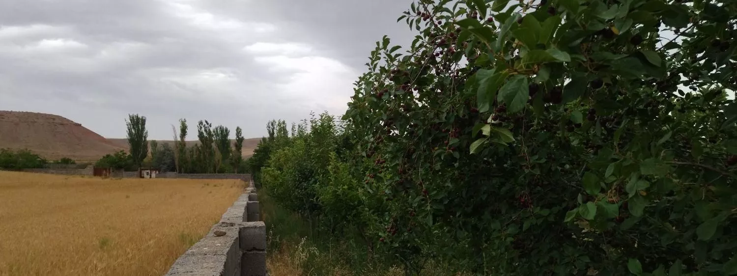 باغ ۴۰۰۰ متری در روستای ده سرخ سد کارده