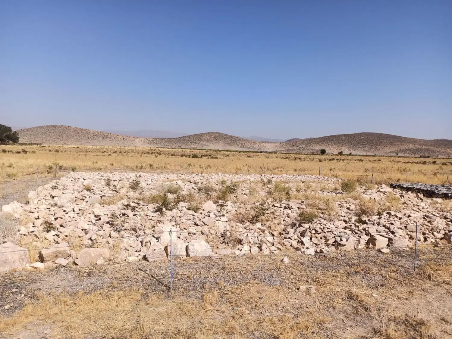 زمین گلخانه