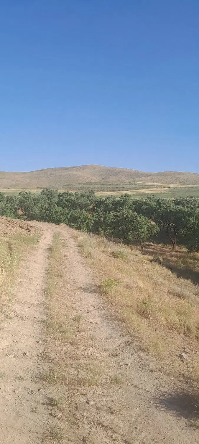 زمین