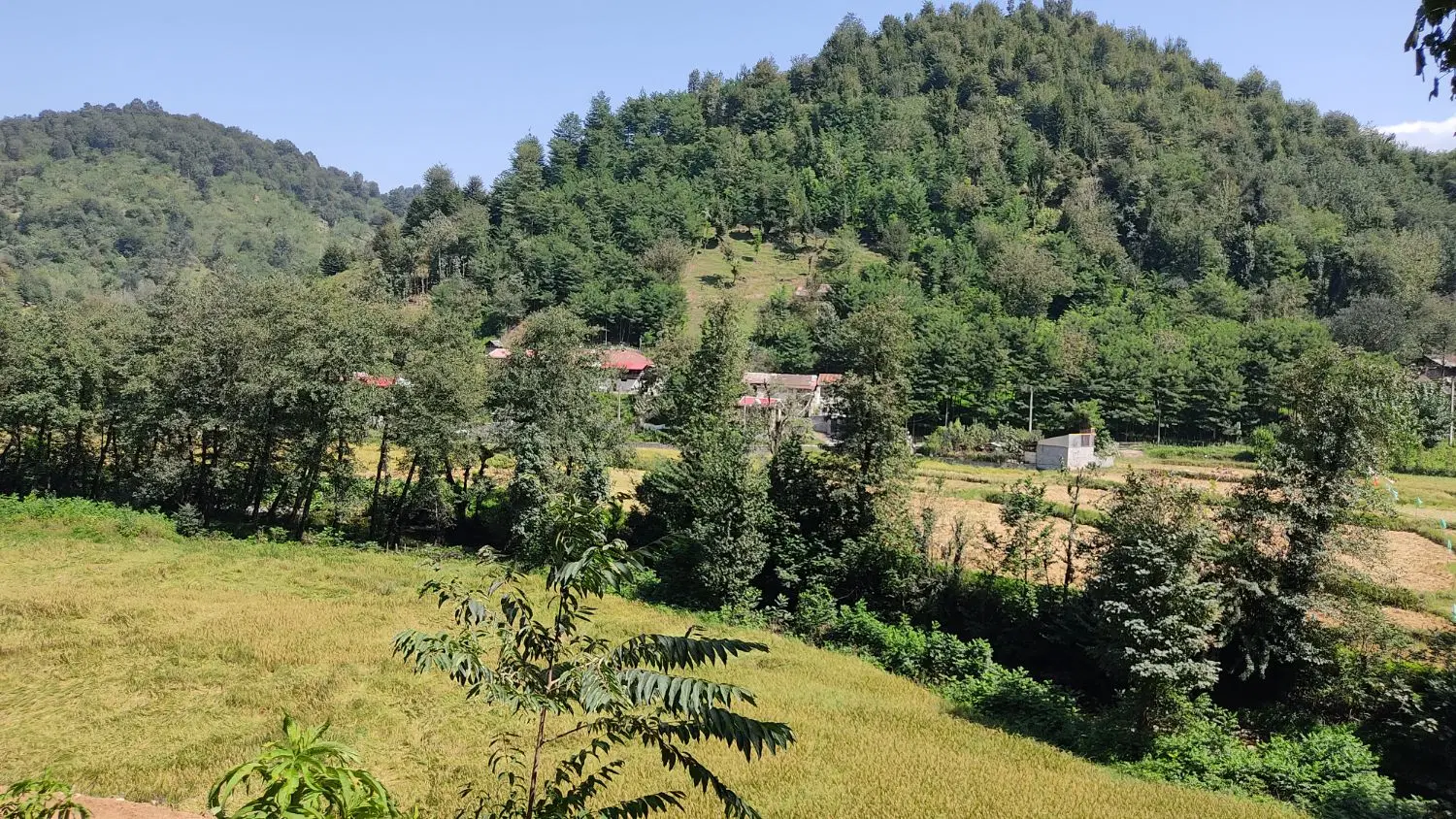 ملک روستایی تمام مسکونی  به متراژ ۴۰۰ متر مربع