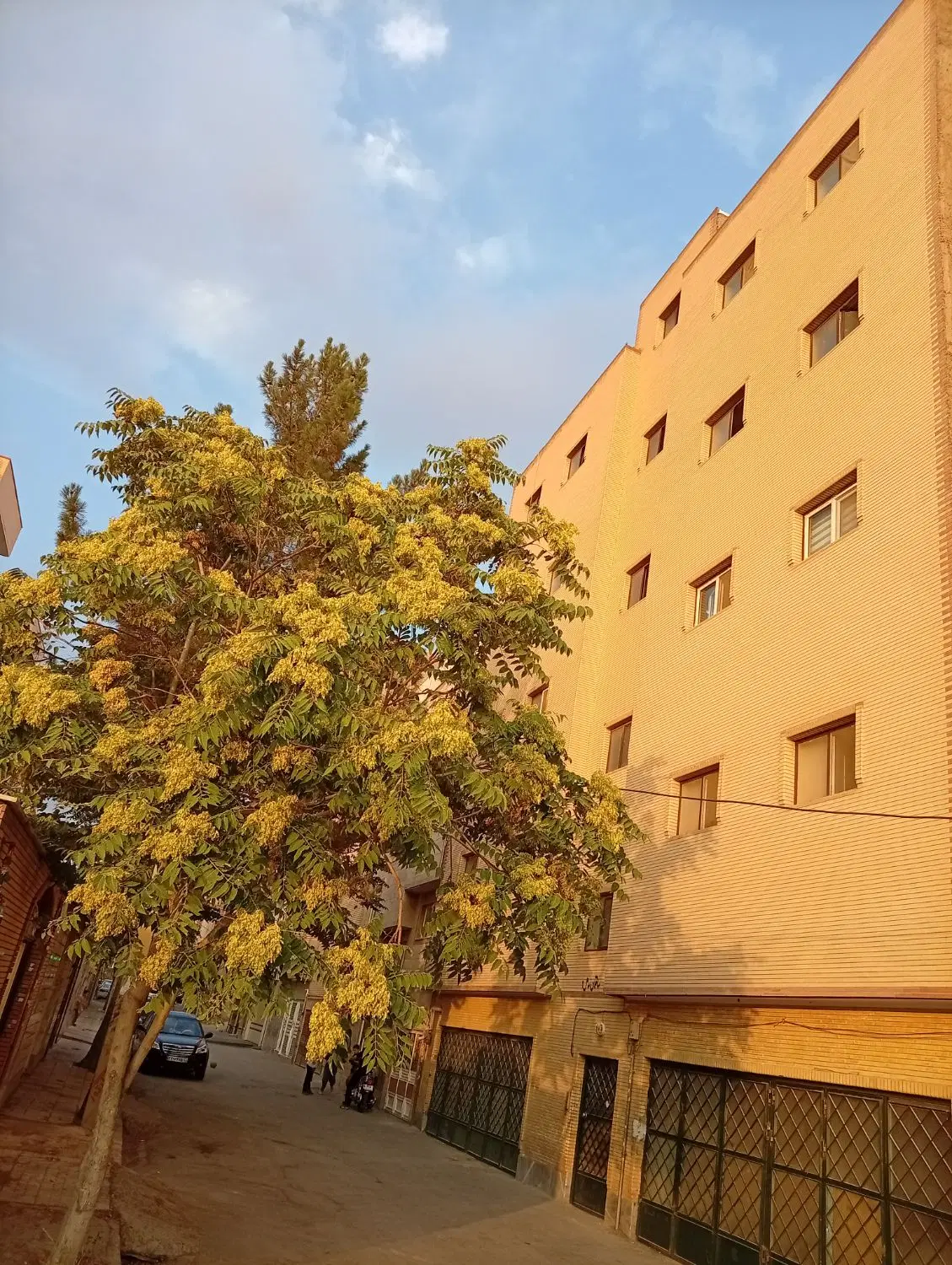 واحد۵۶متری در بهترین لوکیشن اندیشه