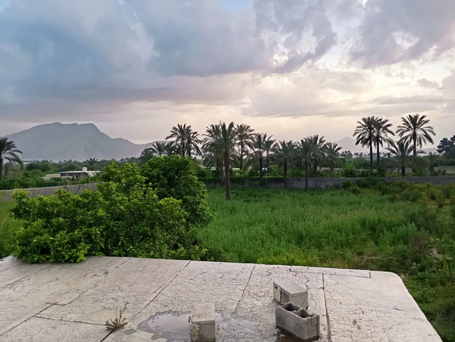 فروش زمین باغچه ای از 1000تا 5000 متر