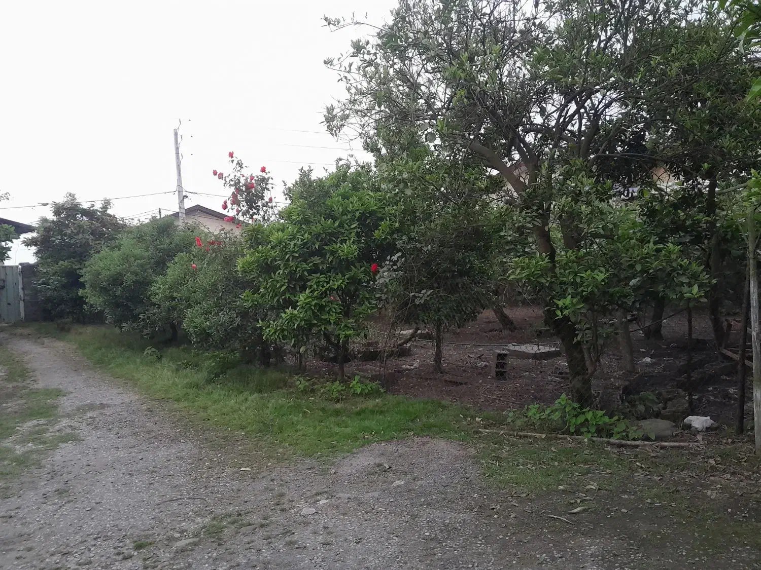 فروش اکازیونی زمین داخل بافت در روستای زوار