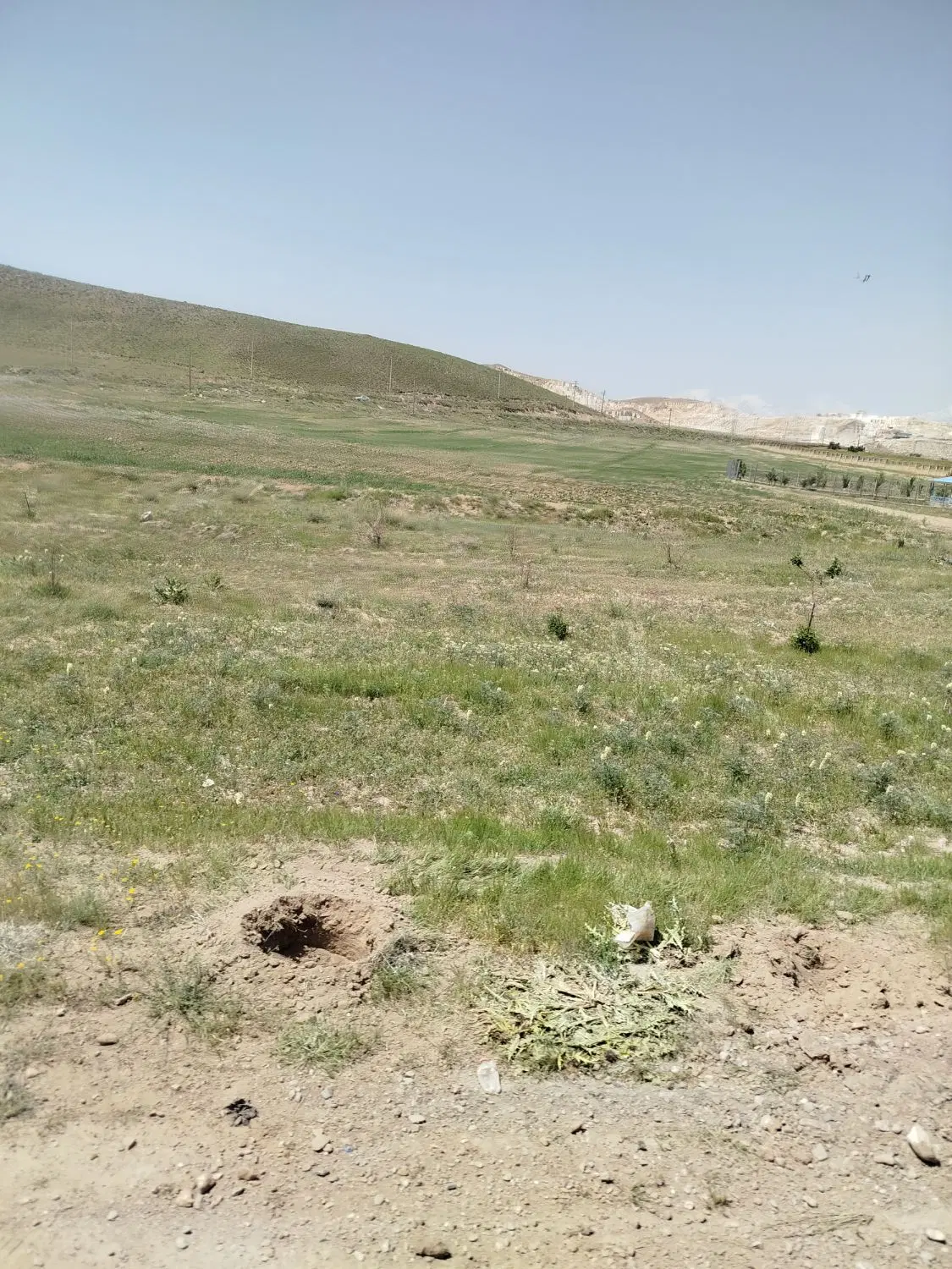 فروش دو قطعه زمین باغی