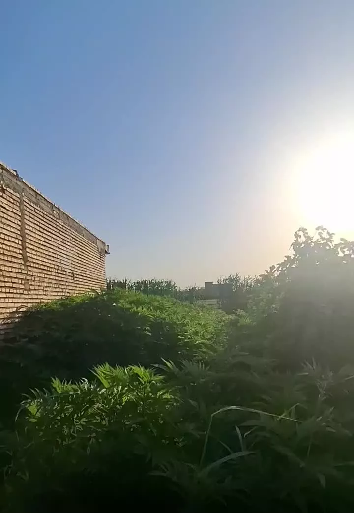 زمین به متراژ ۹۰ متر ( مسکونی )