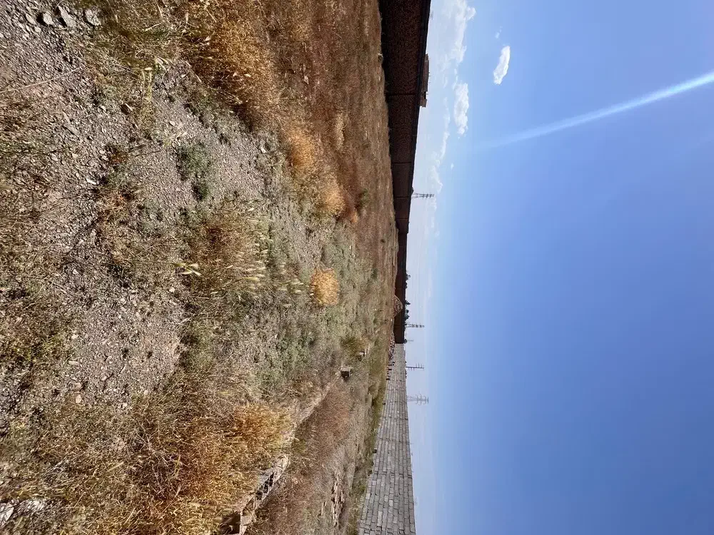 زمین باغی